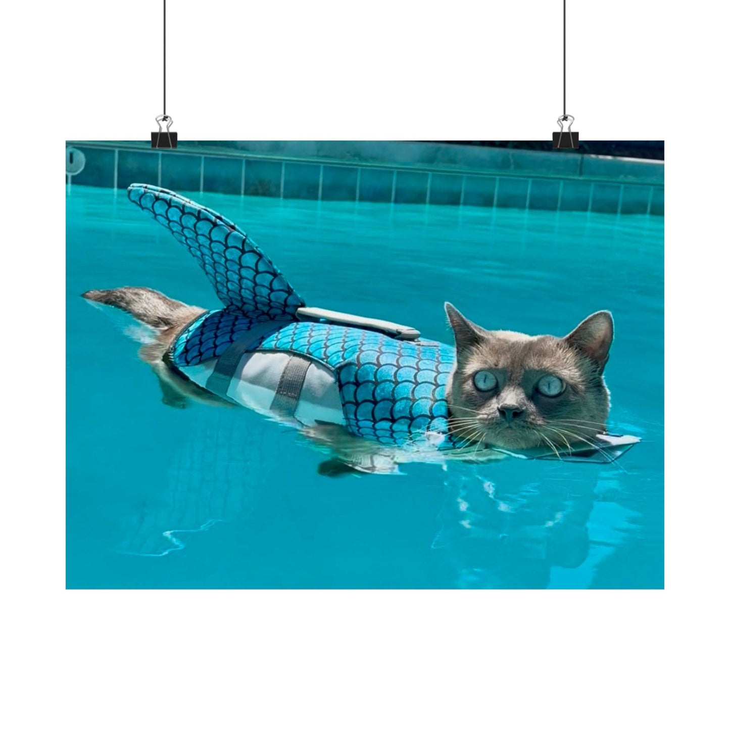 Merkitty Matte Horizontal Print