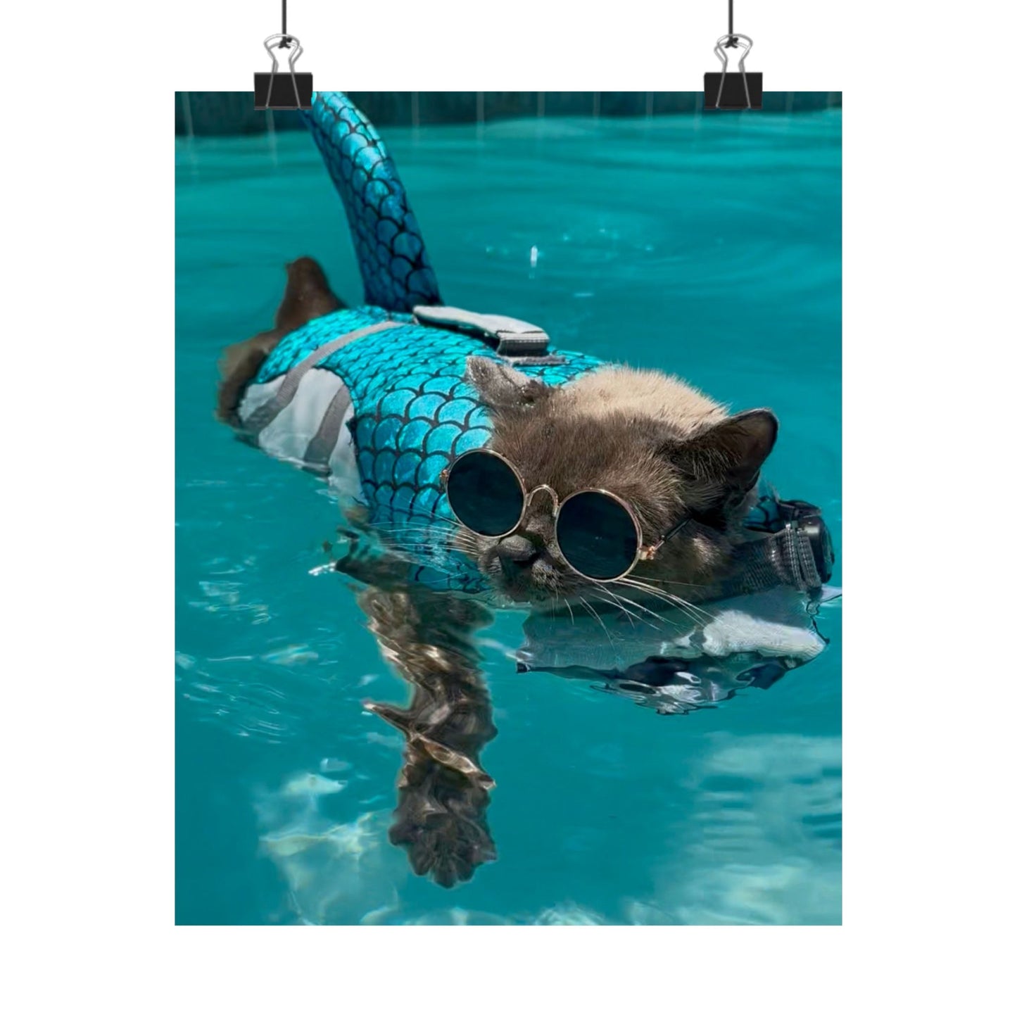 Cool Sharkitty Matte Vertical Print