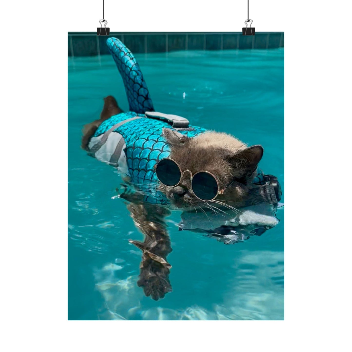 Cool Sharkitty Matte Vertical Print