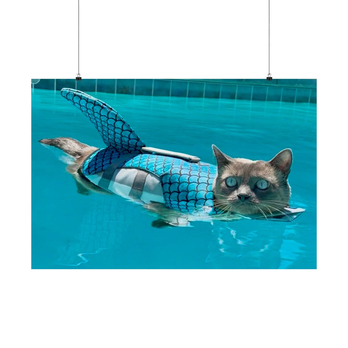 Merkitty Matte Horizontal Print