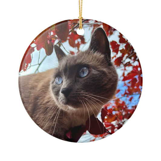 Hester is Not a Cat Photo Ceramic Ornament – Round Holiday Tree Decoration