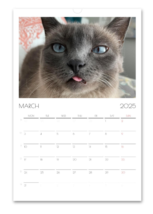 Hester is Not a Cat 2025 wall calendar