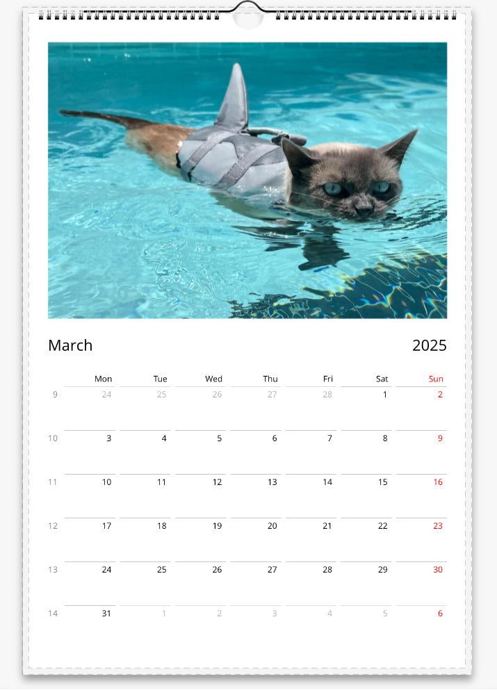 Sharkitty 2025 wall calendar